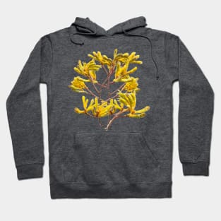 Australian Native Plant Kangaroo Paw Hoodie